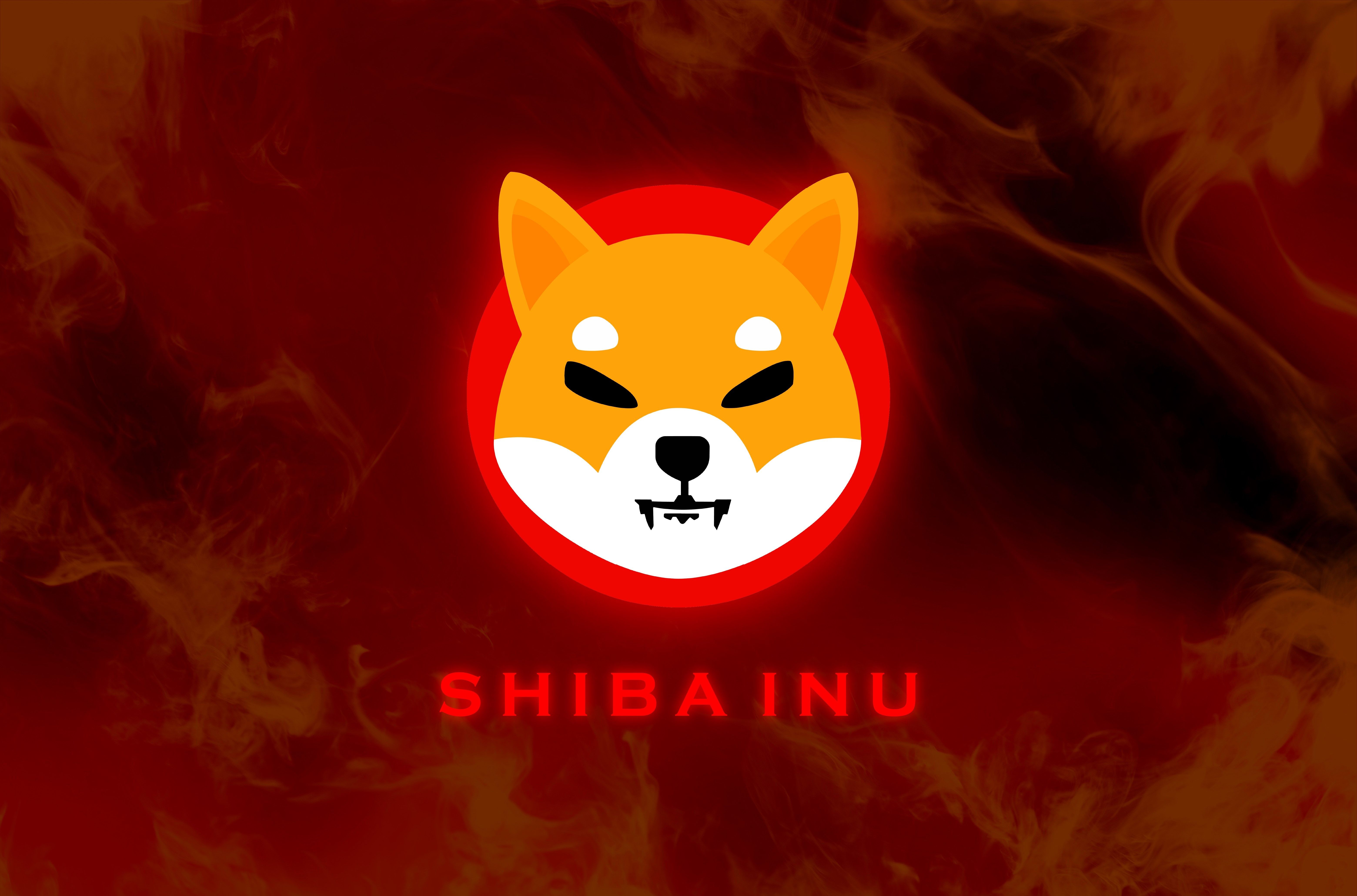 Coinbase User Makes Shocking Move: Burns 140M Shiba Inu in One Transaction