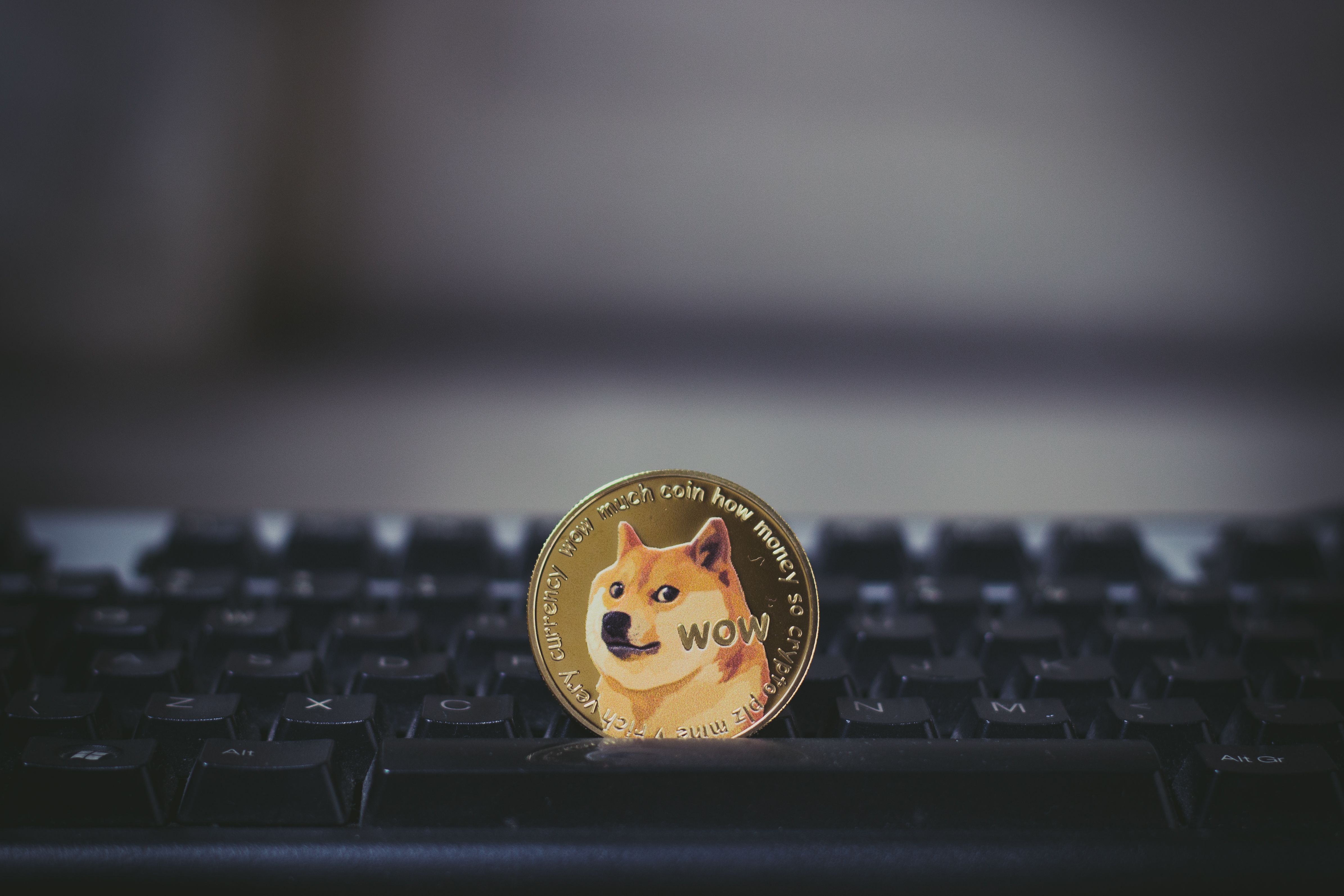 Dogecoin on the Edge: After a 36% Crash, Is the Worst Still to Come?