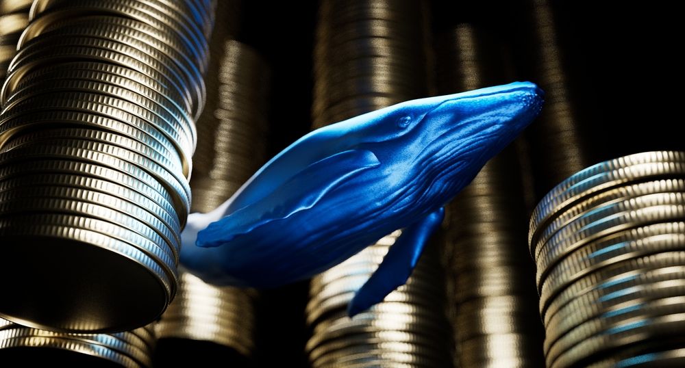 Paus Tempatkan Taruhan XRP Long Senilai ,27 Juta, Tanda Pergerakan Besar Paus Tempatkan Taruhan XRP Long Senilai ,27 Juta, Tanda Pergerakan Besar