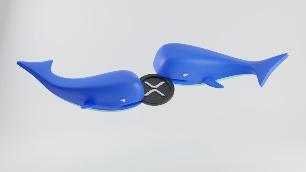 XRP Awakens: Whales’ Weekly Accumulation Surpasses $560M — Momentum Building Fast