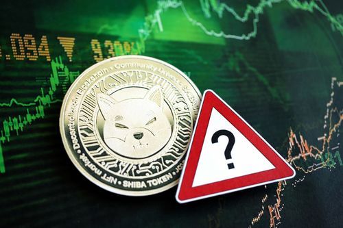 Shiba Inu's Shibarium Goes Dark for Two Weeks – Here's What Users Need to Know