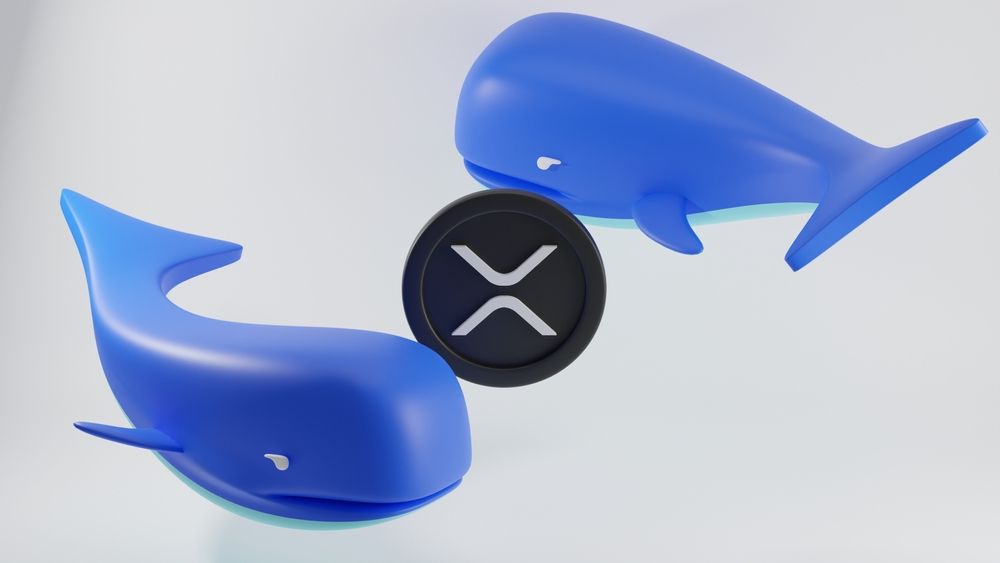 600M XRP Shifted in Minutes as TOXR ETF Launch Sparks Whale Activity
