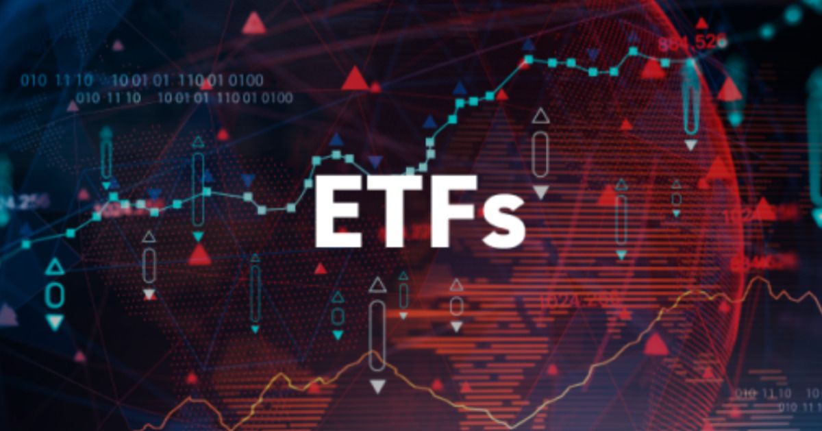 【{興}·公告】關于深交所“摩恩電氣”“*ST東易”重點監控證券交易的風險提示